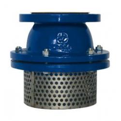 Foot Valve and Strainer