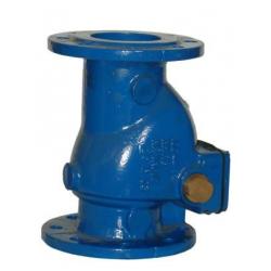 BS5153 Swing Check Valves